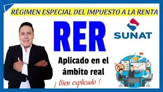 Special Income Tax Regime (RER): Everything you need to know - Registrations and Taxes