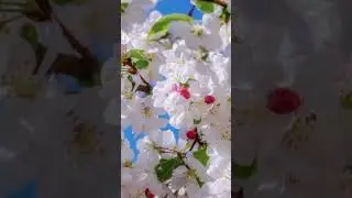 #Հեղնար աղբյուր