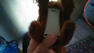 how to electronic toy girl dog
