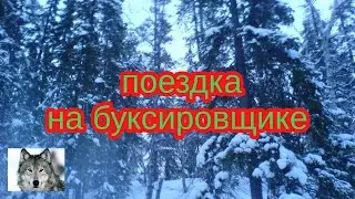 поездка в лес на буксировщике.