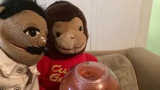 Latinos tequila￼
