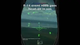 POV F-14 Event n00b - F-14A (IRIAF) - War Thunder Shorts