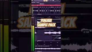Punjabi Sample Pack 2025 