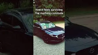 How it feels surviving the morning commute