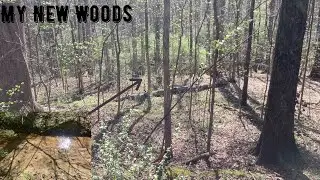 My new woods!