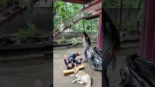 Tom and Jerry🤣 അമ്മച്ചി എന്നെ പട്ടി കടിച്ചേ🤣#funny #trending #viral #shorts