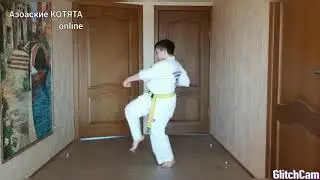 ONLINE AZOV KITTENS KARATE