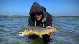 Pesca alla trota di mare in Danimarca