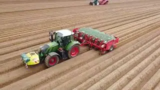 Plantation de pommes de terre 2021