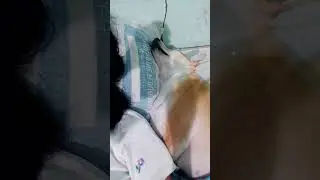 Chrome sleeping