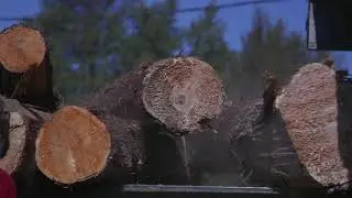 Why Cedar is the Superior Wood for Your Custom Log Home