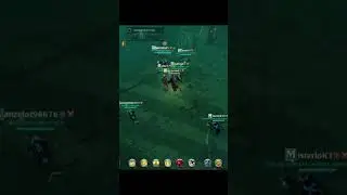 What is this?! 