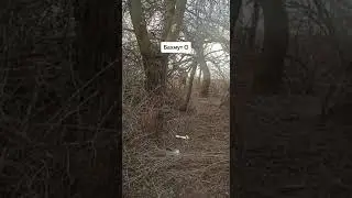 Бахмут сегодня на нулю,бой в Бахмуте,видео боя снято от первого лица.война в Украине.зсу.