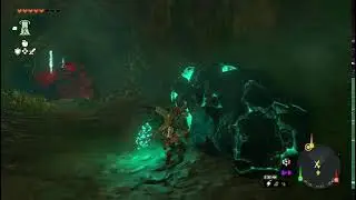 The Legend of Zelda: Tears of The Kingdom (5)
