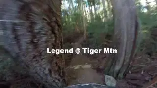 Legend@Tiger