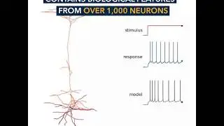 Allen Cell Types Database
