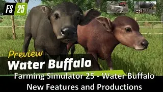 Water Buffalos in Farming Simulator 25: New Features and Productions! #fs25