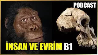 Human and Evolutionary History Documentary | Part 1 PODCAST