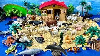 Đồ chơi mô hình, nông trại trên biển. Huge Island Diorama and Farm, Ocean Creature Animal Figurines.