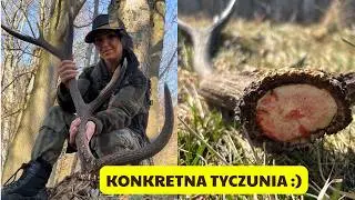 Konkretny ZRZUT w piątek 13go :) #forest #zrzutyjeleni #antlers #animals #las #zhody #wildlife
