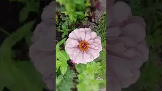 Күзләреңә карыйм