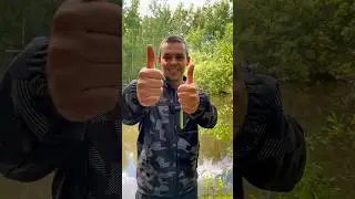 Информация для подписчиков (ссылка в описании о канале)