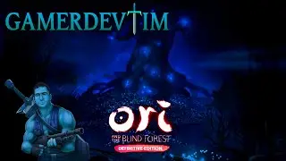 Ori And The Blind Forest Walkthrough