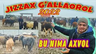 JIZZAX G'ALLAOROL MOL BOZORI 💥 TALABLAR UCHUN MAXSUS 💥 2022