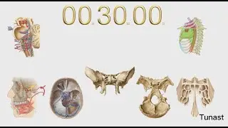 30 Dakikalık Geri Sayım (Alarmlı)