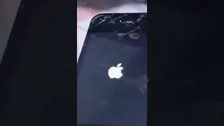 Exploring a random iPhone 4S I found in an e-waste bin: trash or treasure?