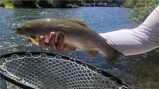 Yakima River Fly Fishing Report-June 7th, 2024-Worley Bugger Fly Co.