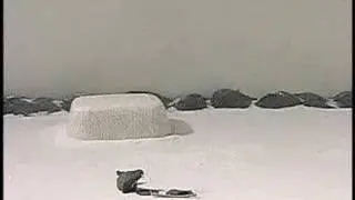 walrus outwits eskimo