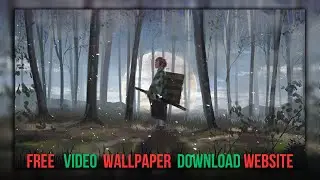 Top 5 Video Wallpaper Download Website