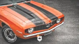Applebottom - Sex Drugs Cash