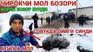 КОР КУЧЛИ БУЛДИ ЧИРОКЧИ МОЛ БОЗОРИ НАРХЛАРИ CHIROQCHI MOL BOZORI NARXLARI 2021