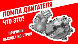 Помпа двигателя что это? Водяной насос двигателя. Причины выхода из строя насоса системы охлаждения.