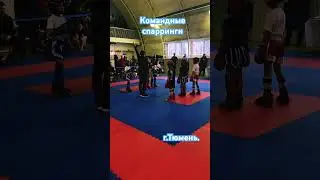 11 декабря 2023 г.