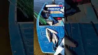 в коптилку #отдых #рыбалка #fishing