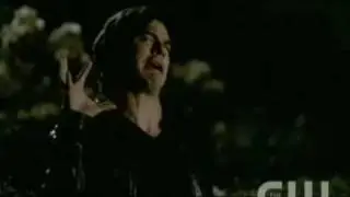 Vampire Diaries ~  Stefan and Damon ~ 'Siam'