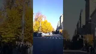 NYC Marathon 2018