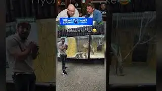 ЗАСМЕЯЛСЯ-ПОДПИСАЛСЯ! Ч.247🤣УДИВИЛИ МАКАК!