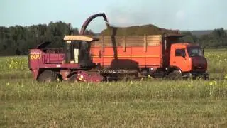ПОЛЕСЬЕ 600 и КАМАЗ 55102 на заготовке силоса.