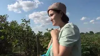 Не расстройство , так золотуха. 21.06.23.