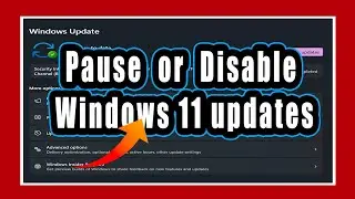 How to pause and disable Windows 11 updates