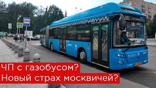 ЧП с газобусом? Новый страх москвичей?