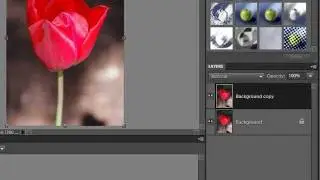 How to Remove a Background in Photoshop Elements
