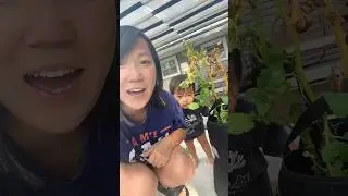 Random Potato content 😝🥔 #harvest #gardening #potato #grow #plants  #bentonoods