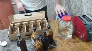 21 День пролетело как Одно Мгновение !!!  Петр 1 Настоял !!!