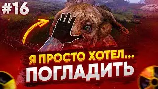 Сталкер Чистое Небо REDUX (LFO) Рыжий Лес #16 Полное Прохождение