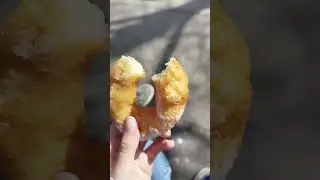 ПЫШЕЧНАЯ В САНКТ-ПЕТЕРБУРГЕ!!! ЛУЧШИЕ ПЫШКИ???!!!